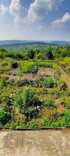 Дача 36 м² на участке 8 сот.