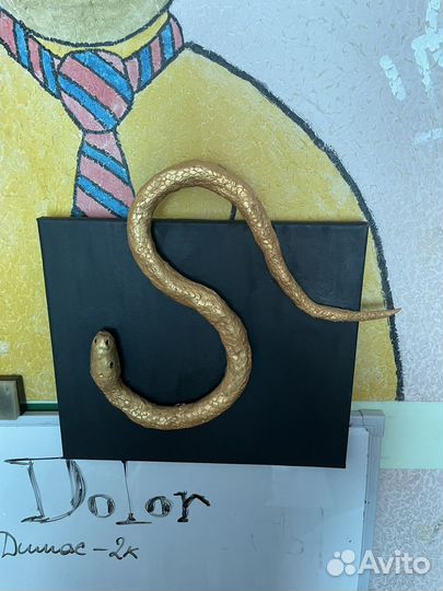 Змея картина