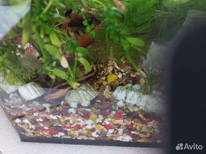 Грунт для аквариума