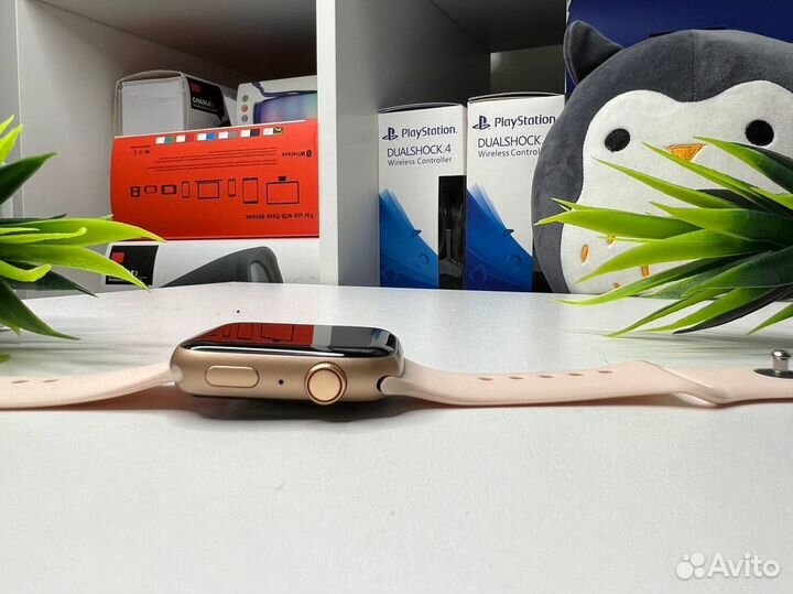 Apple Watch