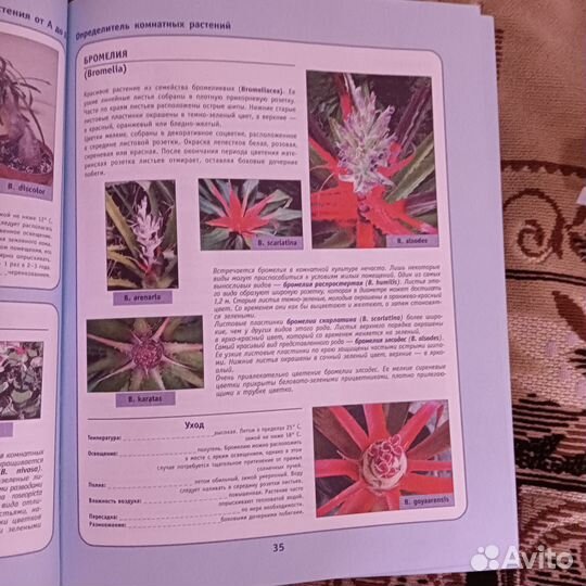 Продаю книгу Комнатные растения (русский Хесайон)