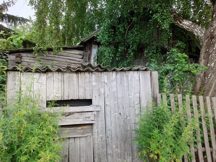 Участок 50 сот. (СНТ, ДНП)