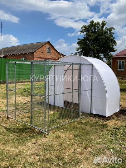 Курятник на 25 курочек