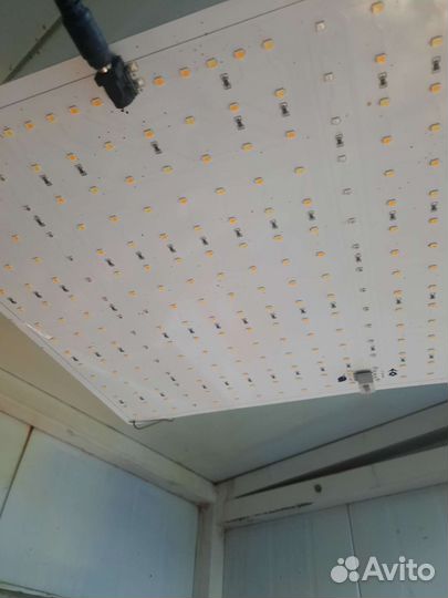 Лампа светодиодная,для рассады