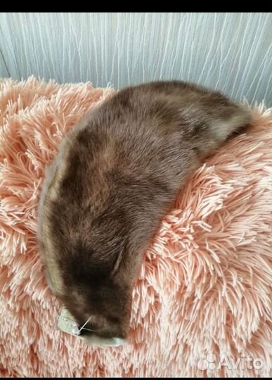 Меховой воротник