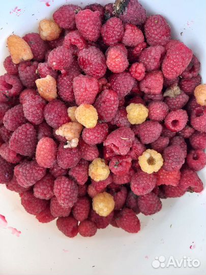 Малина ягоды свежая