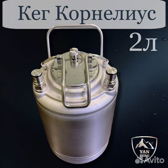 Кег 2 литра (кегментер) с фитингами Ball Lock