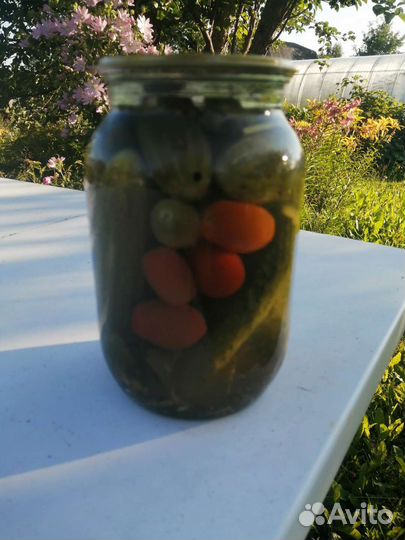 Заготовки Грибы хрен растения