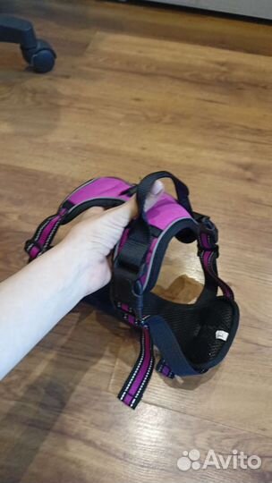 Шлейка для собаки