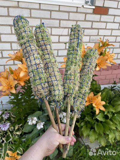 Тотем (опора) для растений