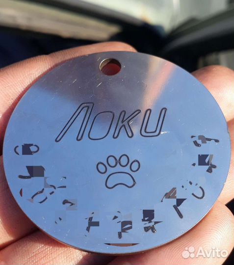 Адресник для животных