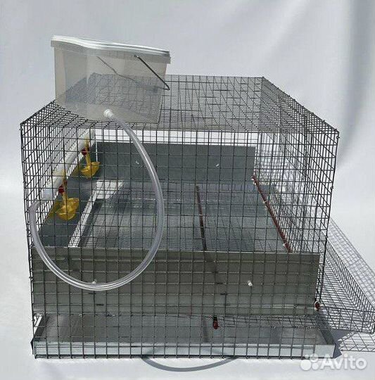 Клетки для кур несушек