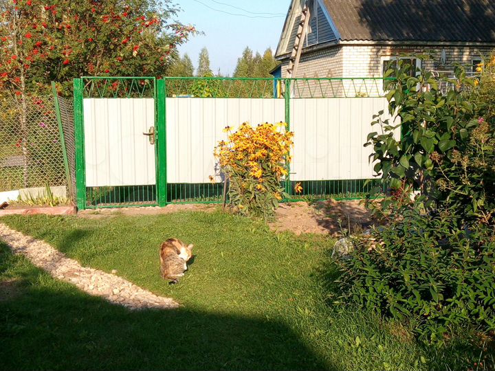 Дом 74,1 м² на участке 6 сот.