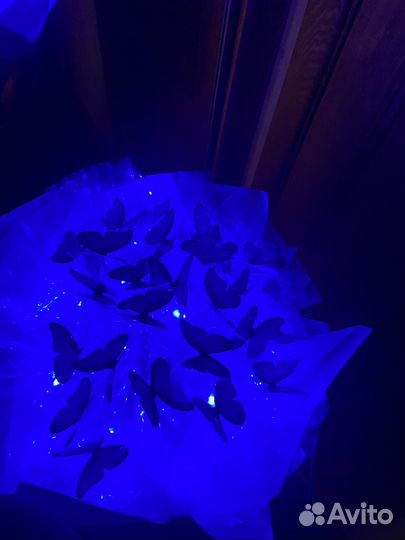 Букет из бабочек