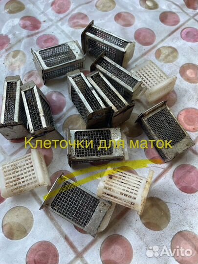 Пчеловодство