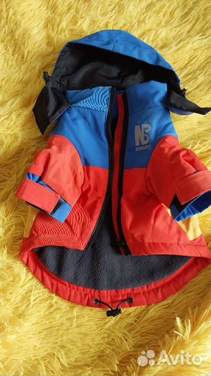 Куртка для маленькой собаки