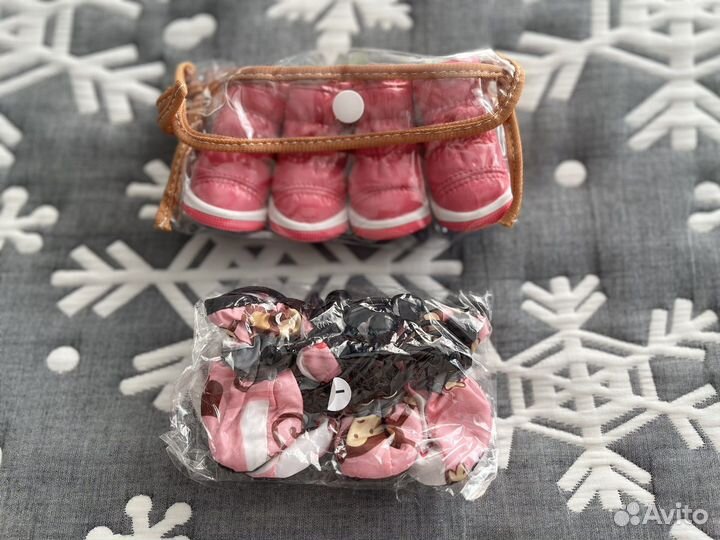 Одежда и обувь для чихуахуа