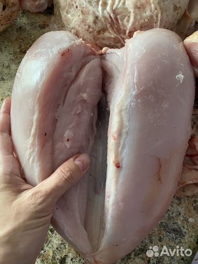 Тушки бройлера домашний