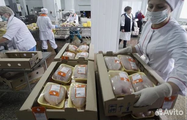 Оператор производственной линии вахта