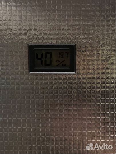 Термометр гигрометр