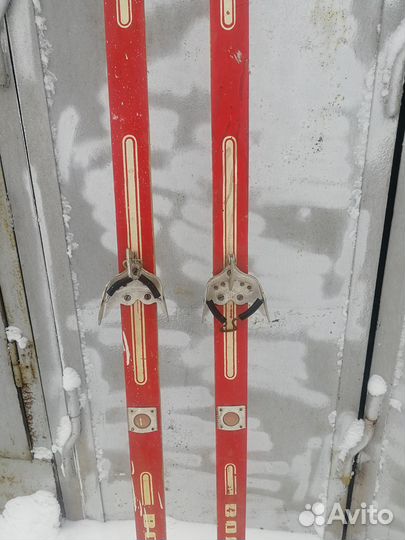 Лыжи Волжск