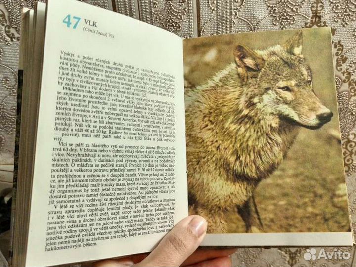 Атлас животных на чешском языке