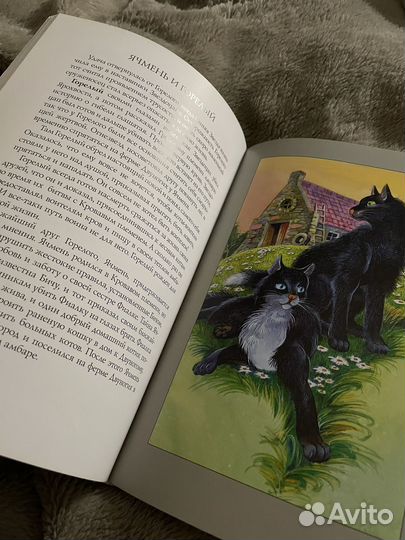 Книги Коты - Воители