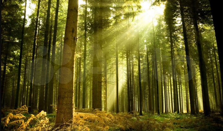 Дом 200 м² на участке 10 сот.