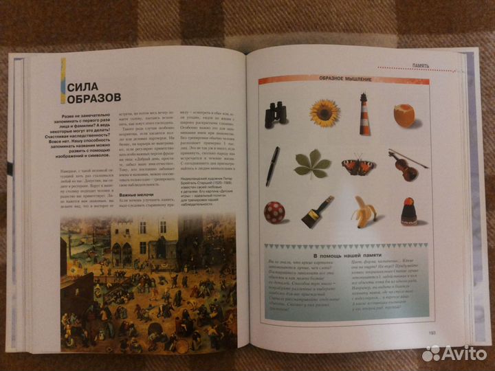 Книга «Мысль. Разум. Интеллект»