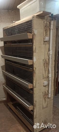 Клетки для перепелов