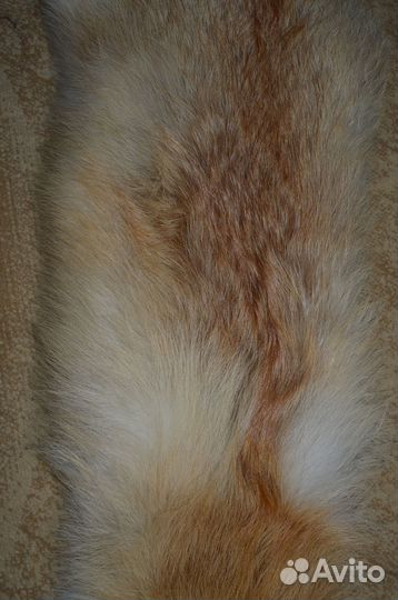 Лисья шкура