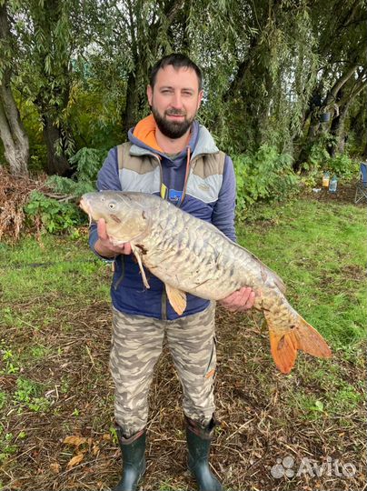 Greenwood База отдыха с рыбалкой в Астрахани