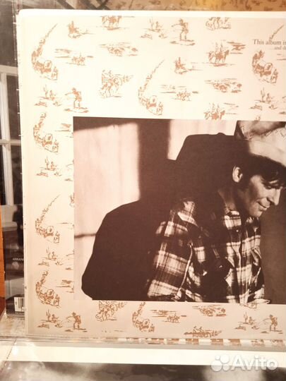 Виниловая пластинка