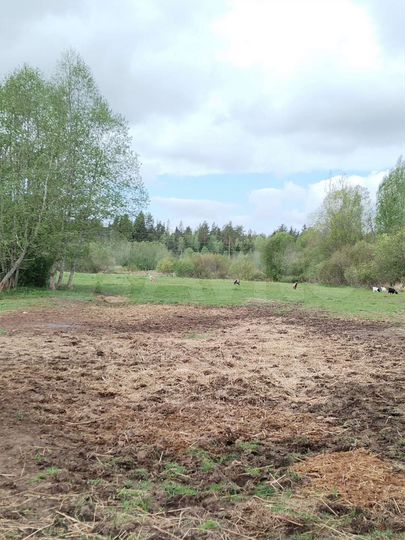 Участок 1,5 га (СНТ, ДНП)