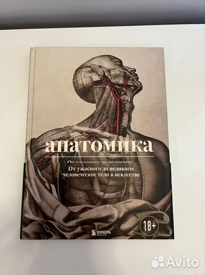 «Анатомика, книга про анатомию с иллюстрациями»