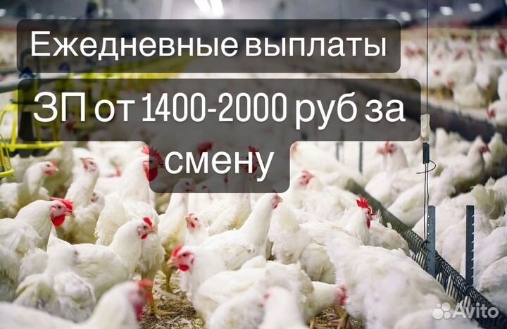 Подсобник разнорабочий грузчик