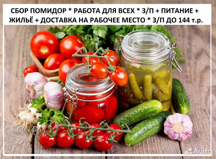 Сортировка овощей (сборка) Вахта Тульская область