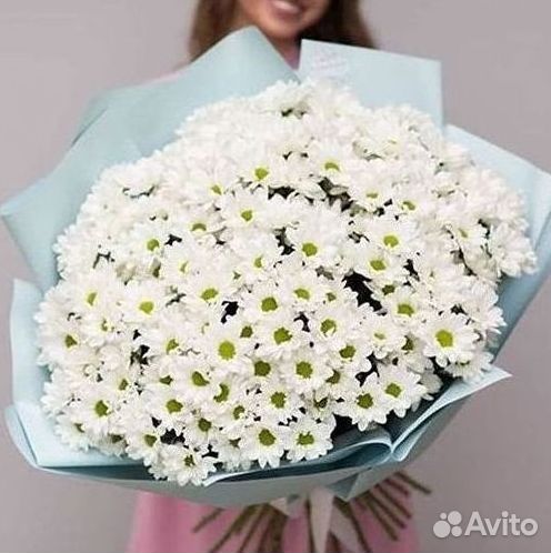 Хризантема Доставка цветов