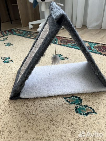 Лоток и когтеточка для кошки