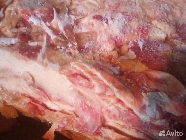 Зерно корма комбикорма