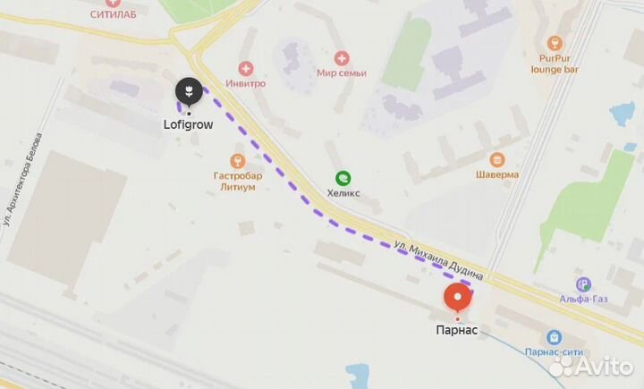 Органическое удобрение Plagron Alga grow 100 мл