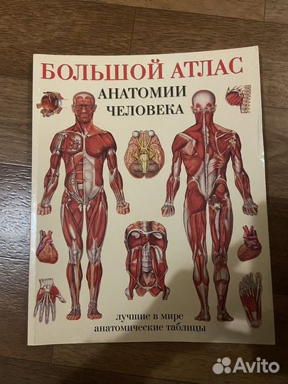 Анатомический атлас