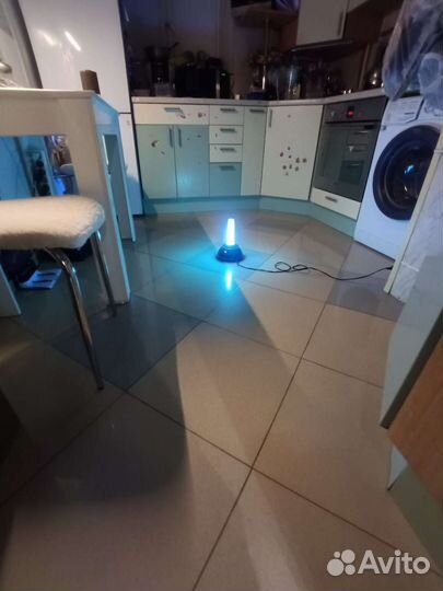 Дезинсекция / дезинфекция / озонация / запахи