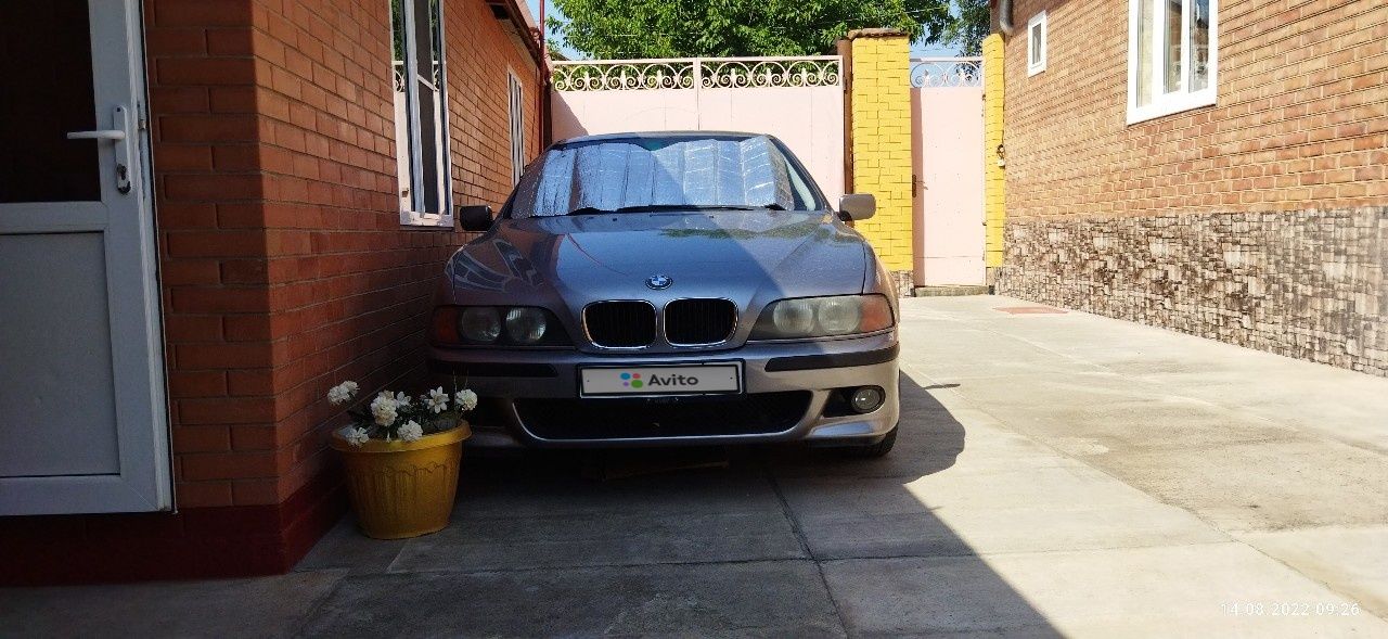 BMW 5 серия: фото владельца