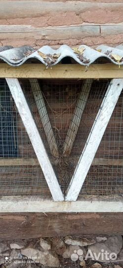 Крольчатник