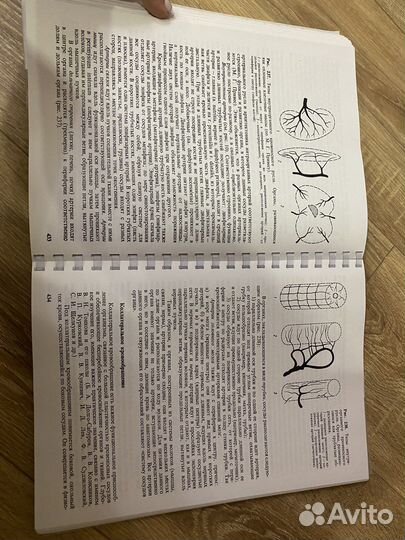 Учебник по анатомии Привес