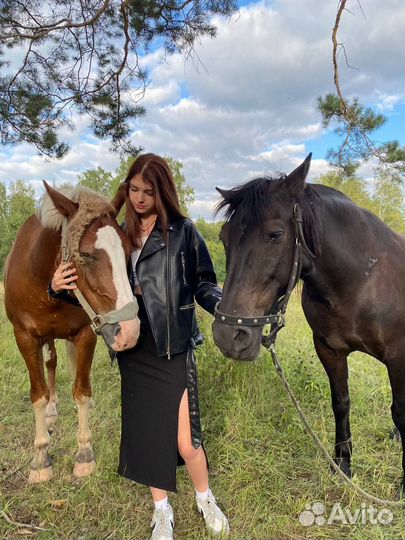 Конные прогулки