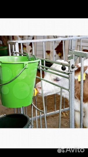 Поилка для телят, Соски для телят