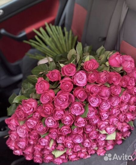 Высокие розы всех цветов