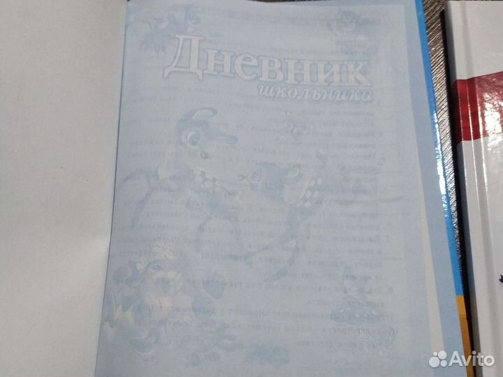 Дневники школьные